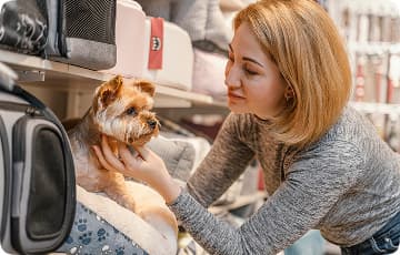 Зоогостиницы